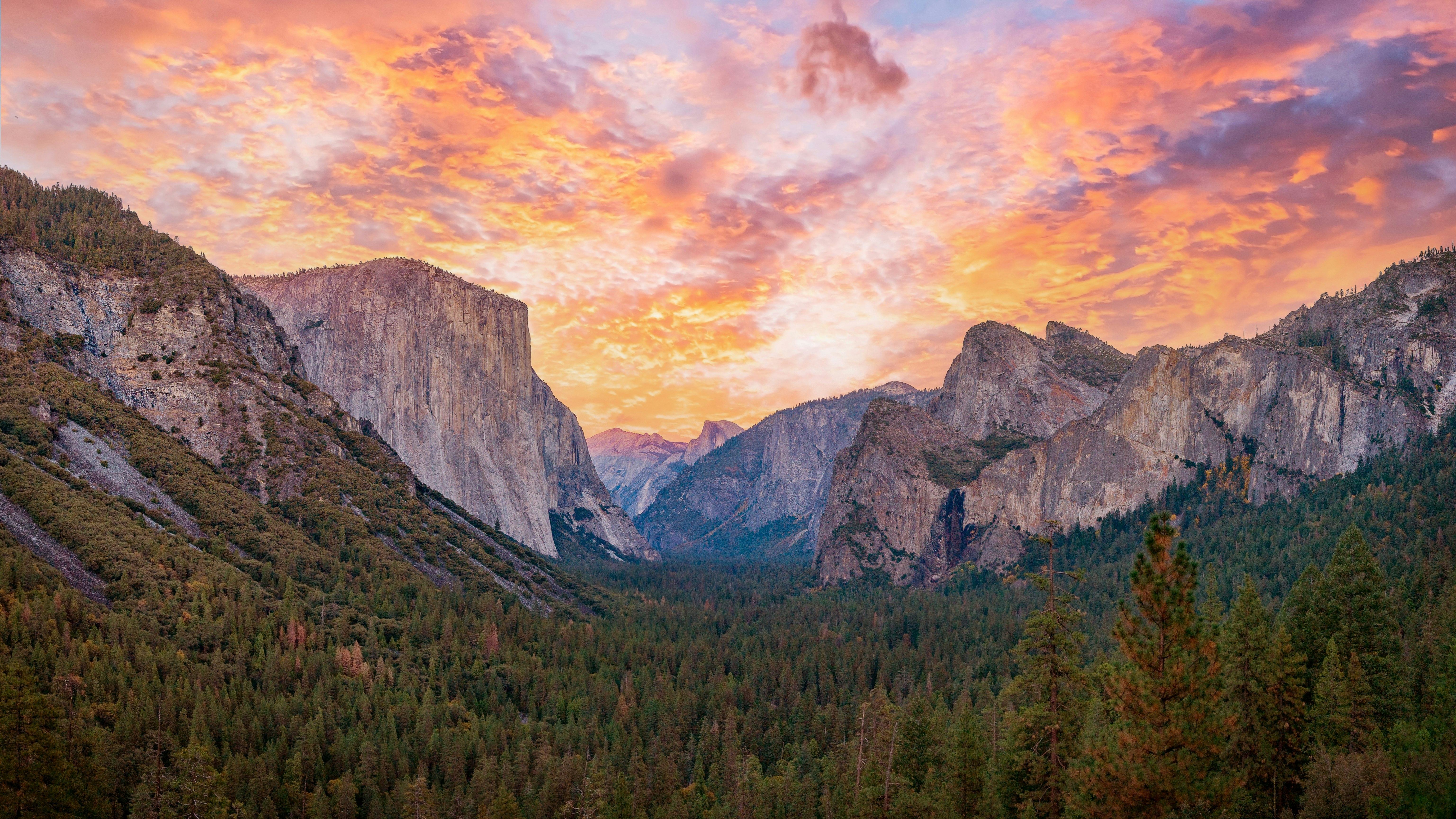 Under Canvas Yosemite 42/50