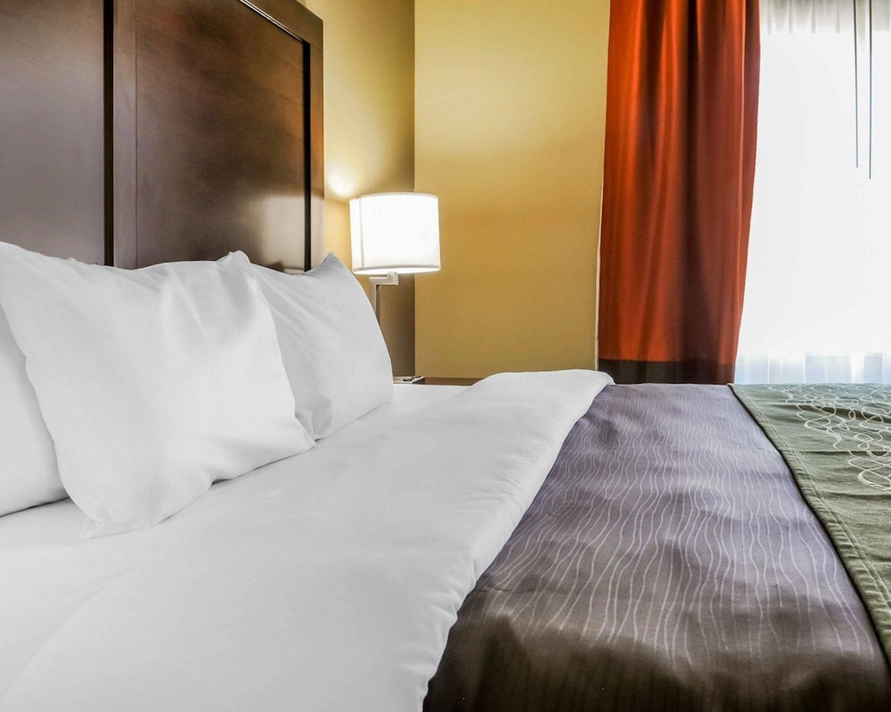 Comfort Inn & Suites Artesia, NM 15/40