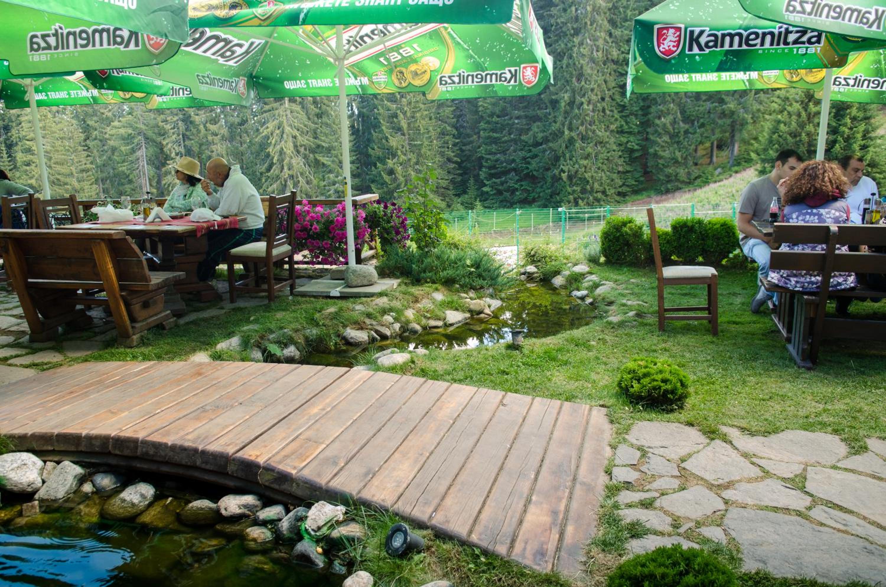Kamellia Hotel Pamporovo 45/50