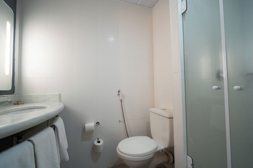 Ibis Sao Carlos 45/48