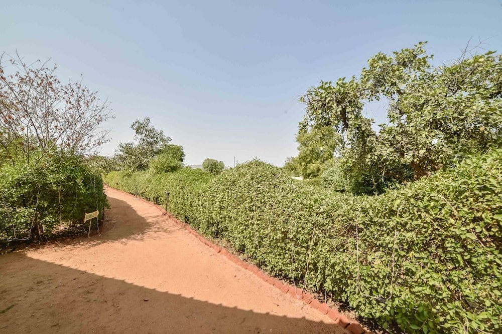 Pushkar Rajwara Resort 41/50