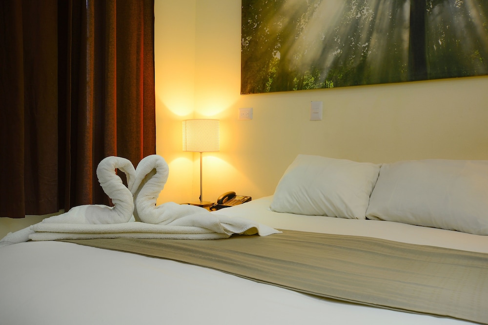 Hotel Luisiana 24/68