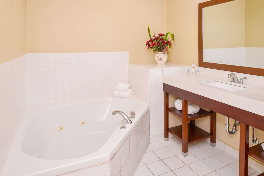Holiday Inn Express And Suites Joplin Southeast by IHG 25/58