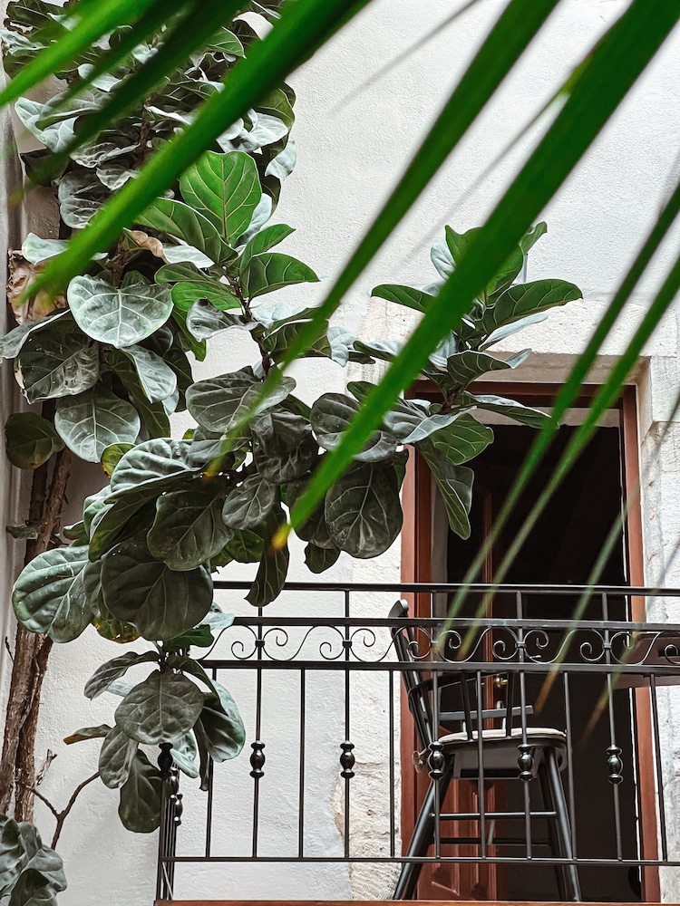 Casa Dei Delfini 46/50