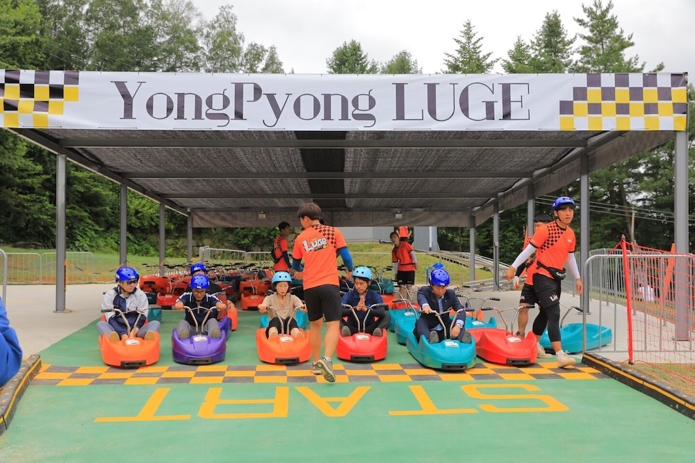 Mona Yongpyong 57/63