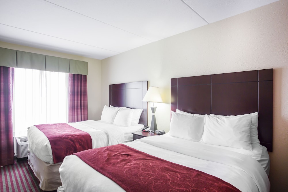 Comfort Suites Mount Juliet 15/57
