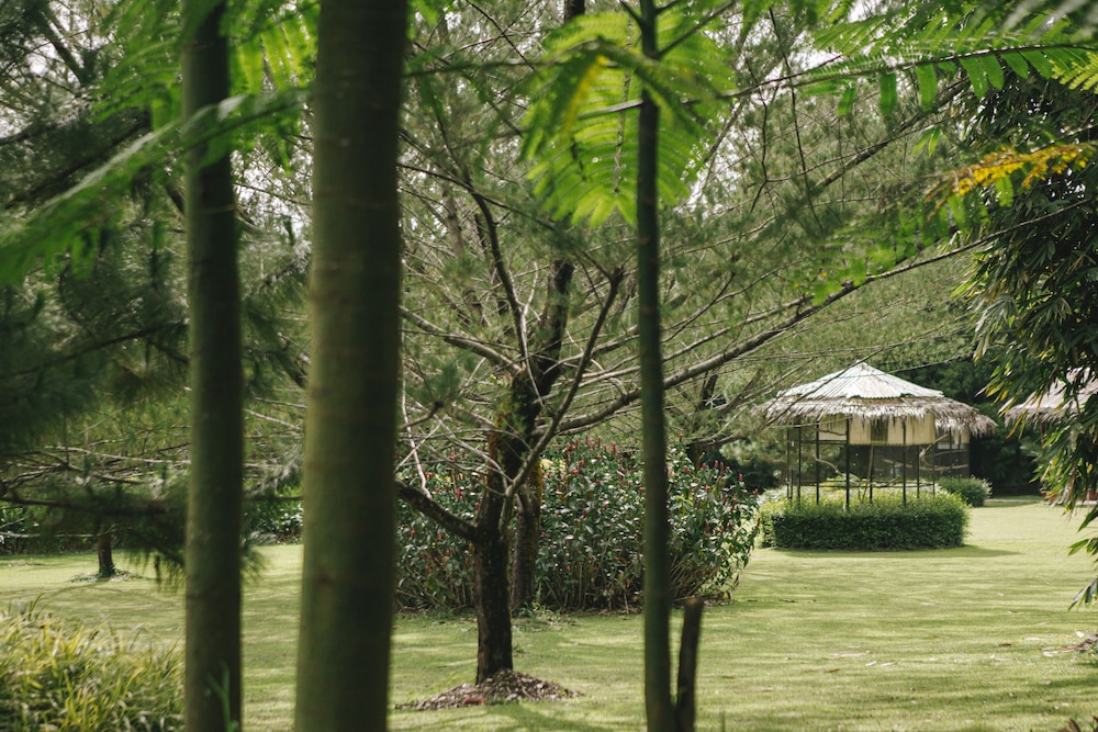 The Hill Hotel & Resort Sibolangit Powered by Archipelago 44/62