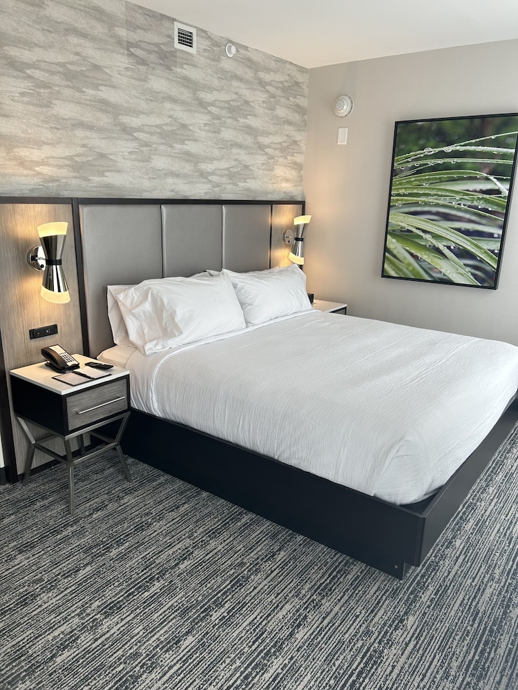 1 BEDROOM, STUDIO, SUITE, KING BED