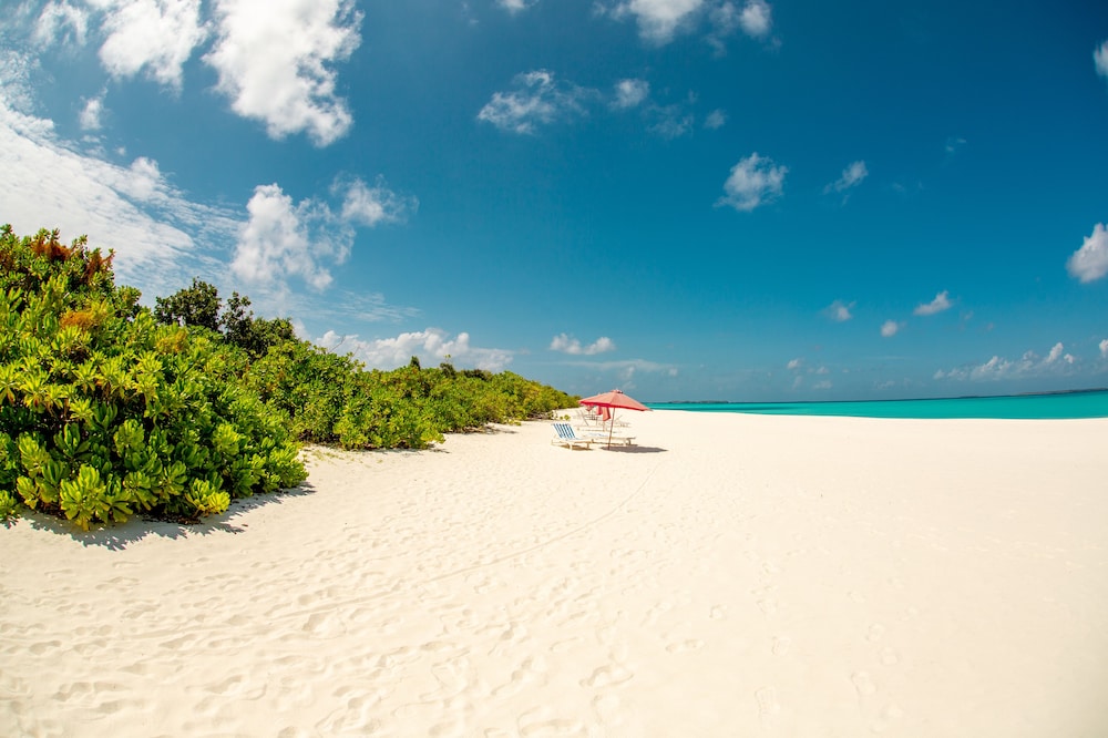 Hondaafushi Island Resort 54/58