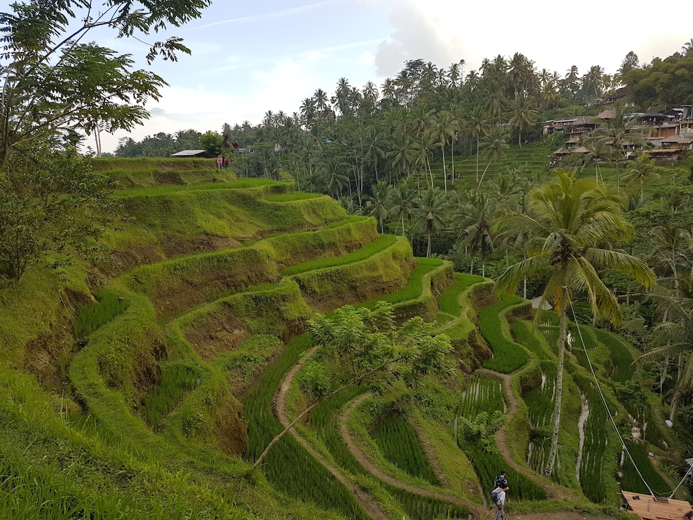 Buda Cottage Ubud 27/36