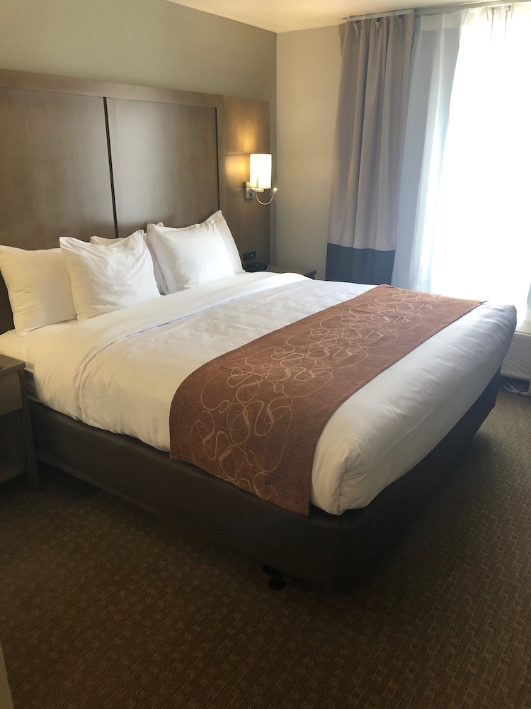 Comfort Suites Columbia I-65 12/47