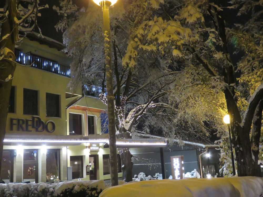 别墅Boyana酒店(Hotel Villa Boyana) 图片4