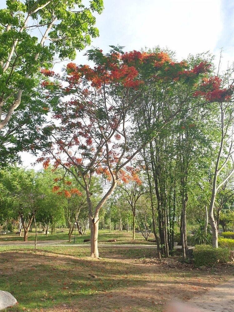 Suan Phueng Pa Wai Resort 36/50