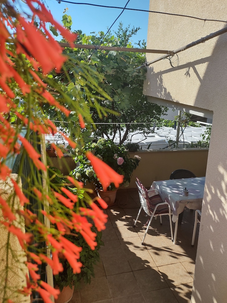 Anna Guesthouse 44/50