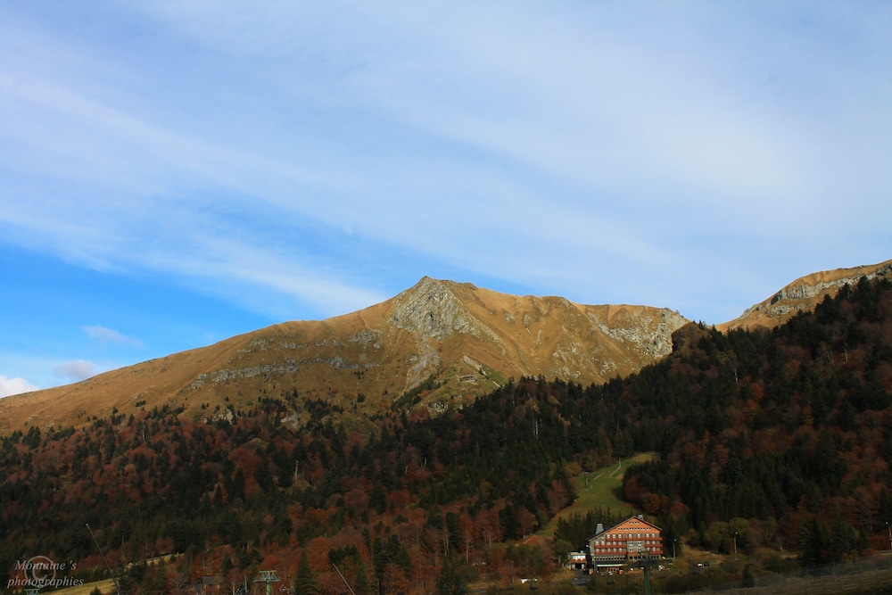 surroundings