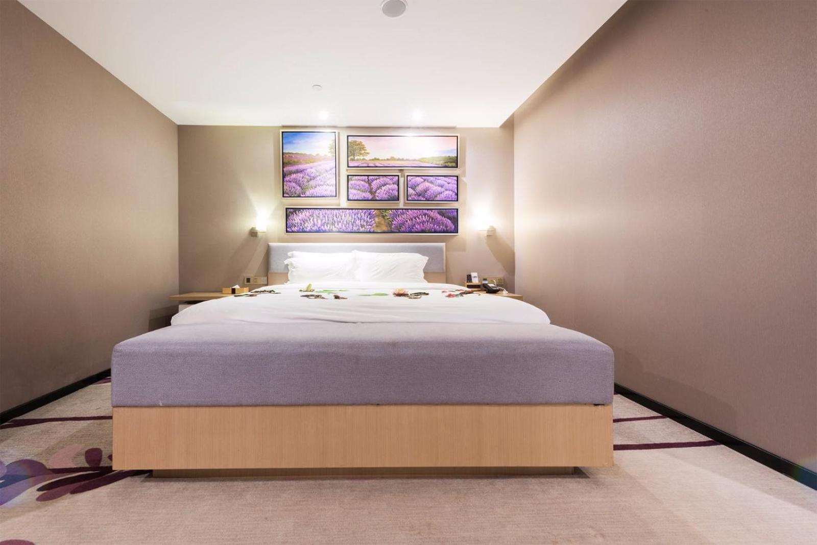 Lavande Hotel (Heyuan Wanlongcheng) 13/54