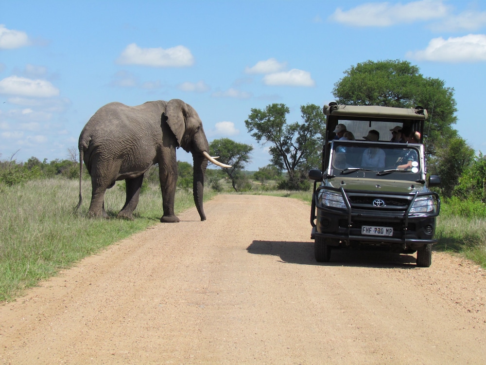 Nkambeni Safari Camp 7/64