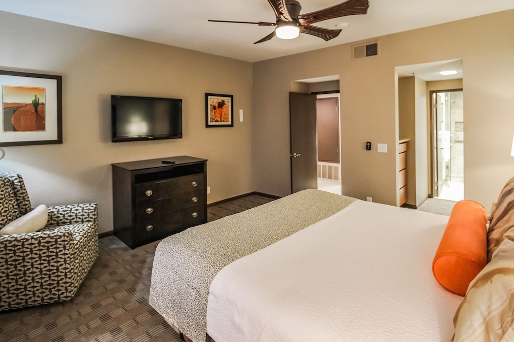 Desert Isle Of Palm Springs 10/50