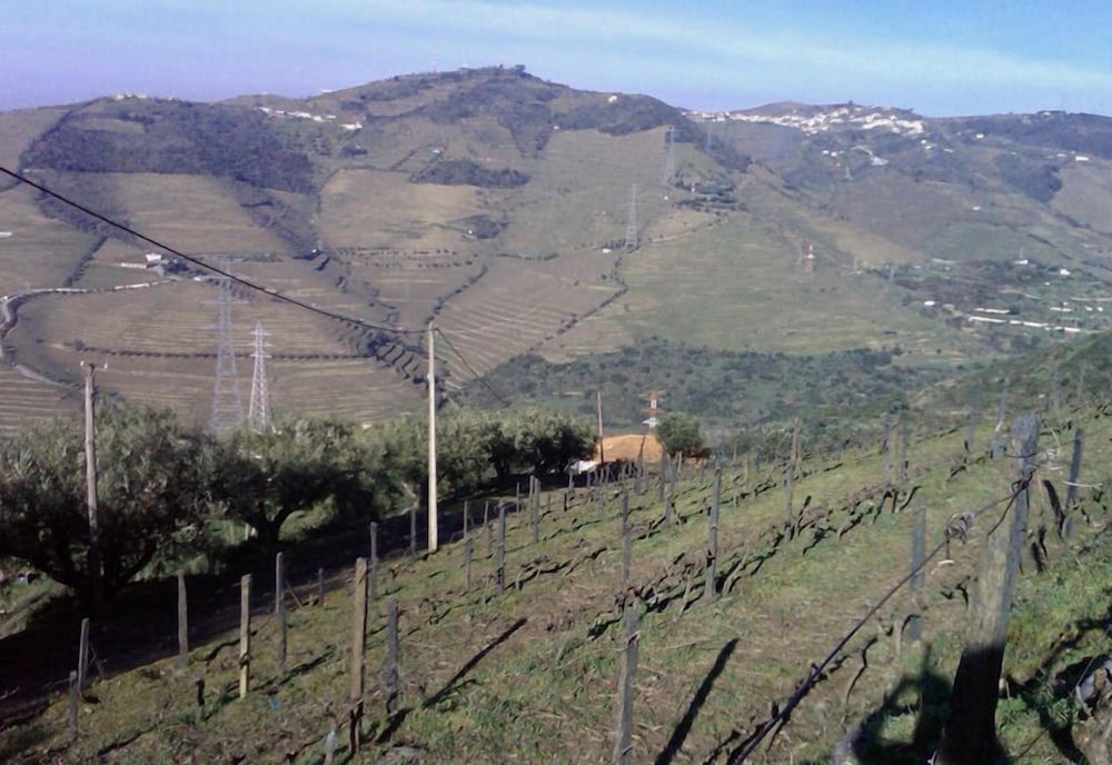 Quinta De Casaldronho Wine Hotel 43/60