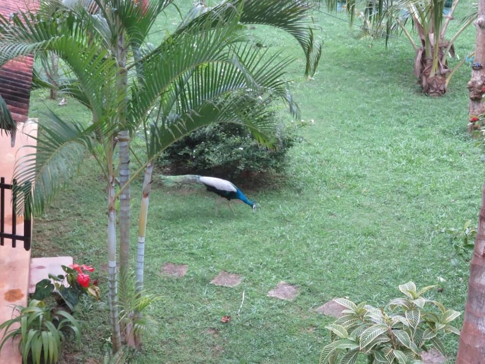 Beach Lagoon Guest House 27/50