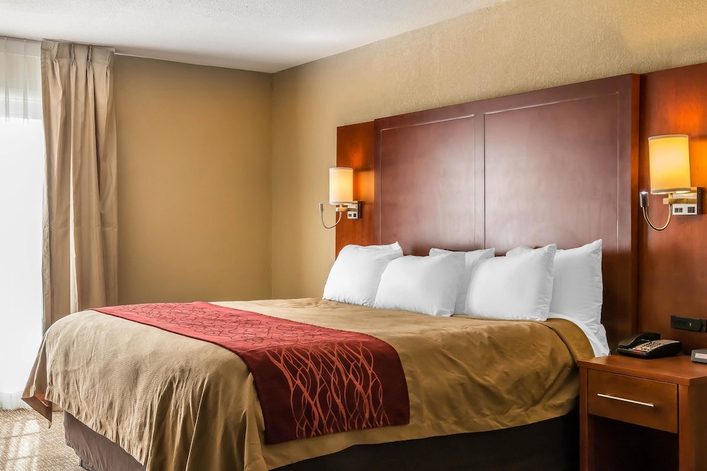جناح استوديو بسرير كينج، Comfort Inn Savannah Midtown 2/4