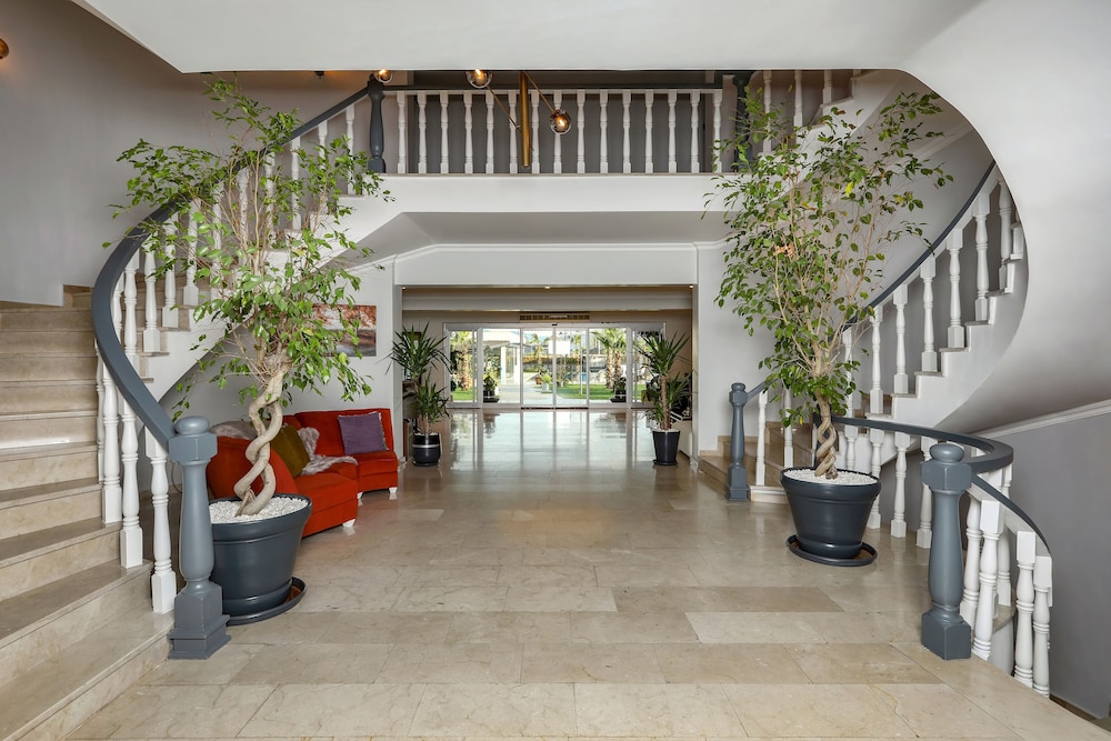 Didi Hotel 44/50