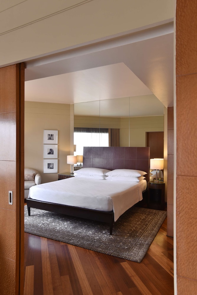 Hyatt Regency Delhi 15/72