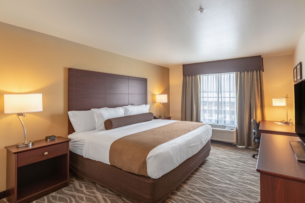 Cobblestone Hotel & Suites Janesville 7/38