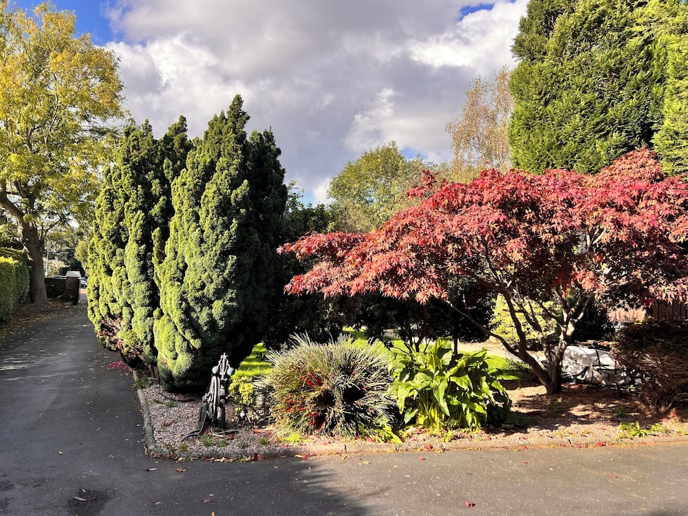 Ashfield Bed And Breakfast 32/44