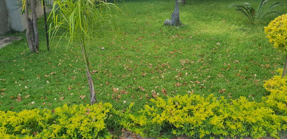 Maun Executive Inn 11/26