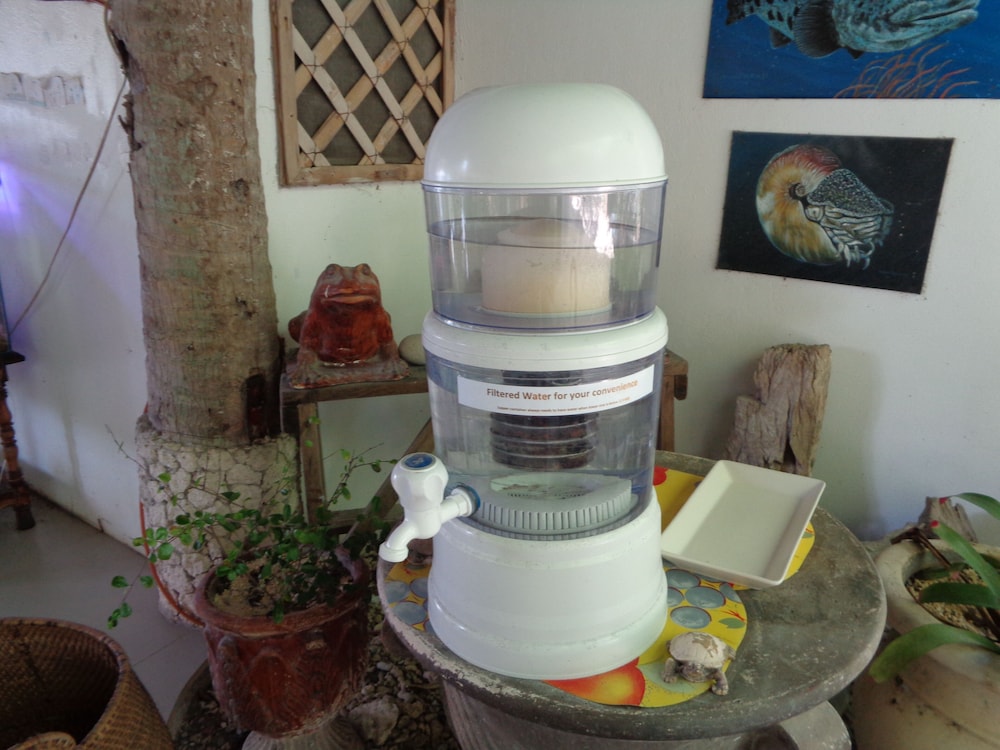 Sea Turtle House酒店(Sea Turtle House) 图片2