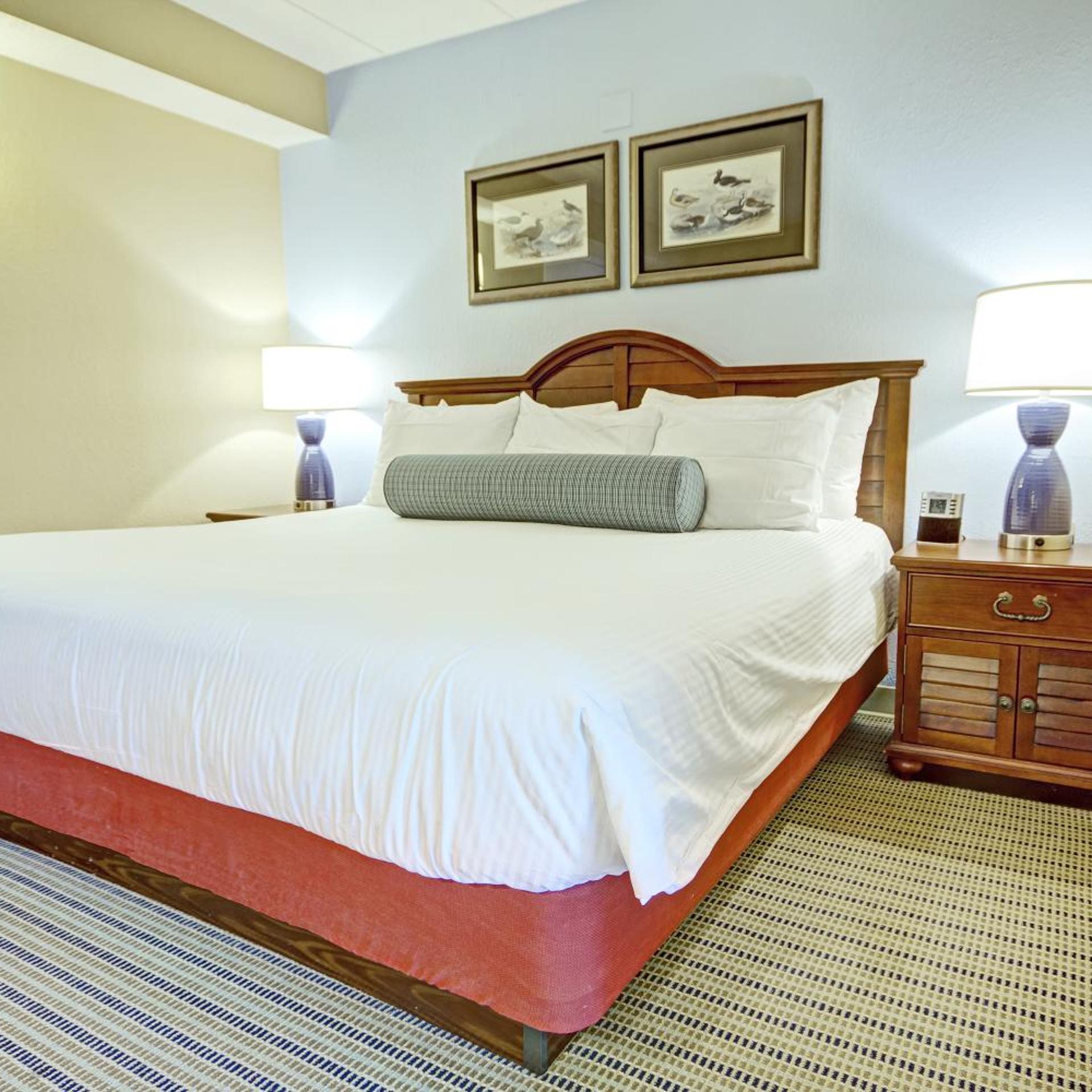 1 BEDROOM, SUITE