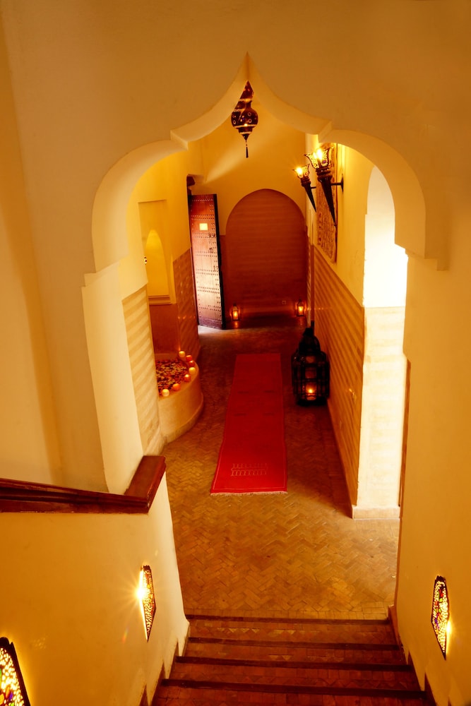 Riad Shama 7/75