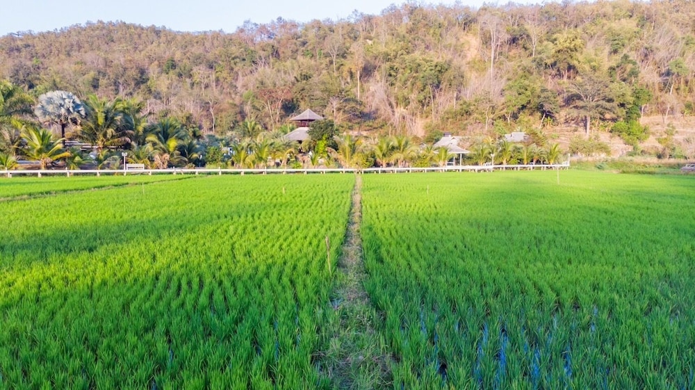 The White House Boutique Chiangrai 44/62