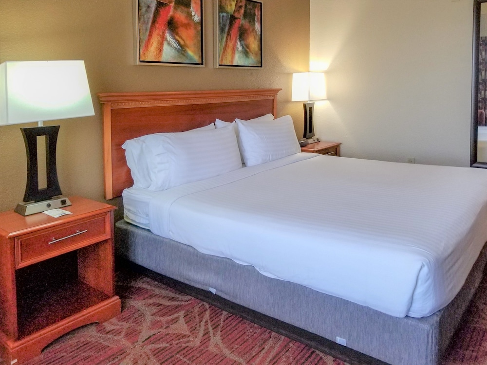Holiday Inn Express Hotel And Suites Orange City 21/63