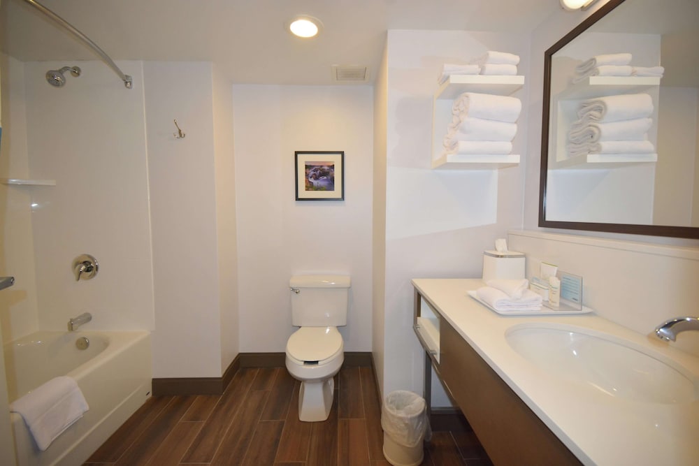 Hampton Inn Salem East - Electric Road 20/58