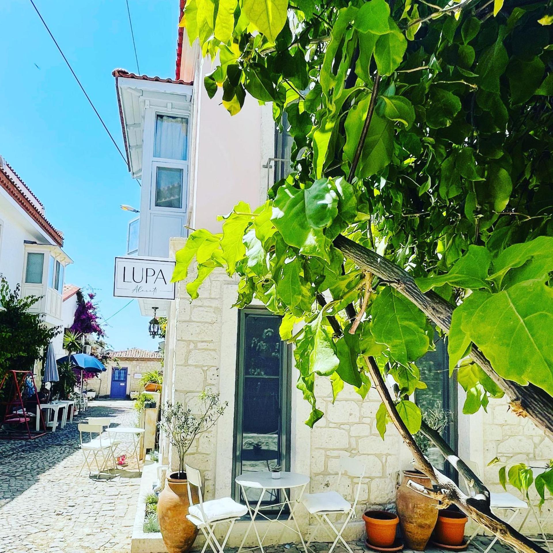 Lupa Alacati 31/34