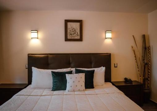 Hotel Embajadoras 9/54
