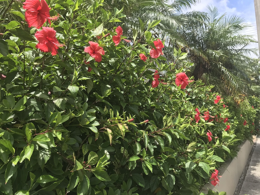 Hotel Route Inn Grantia Ishigaki 64/66