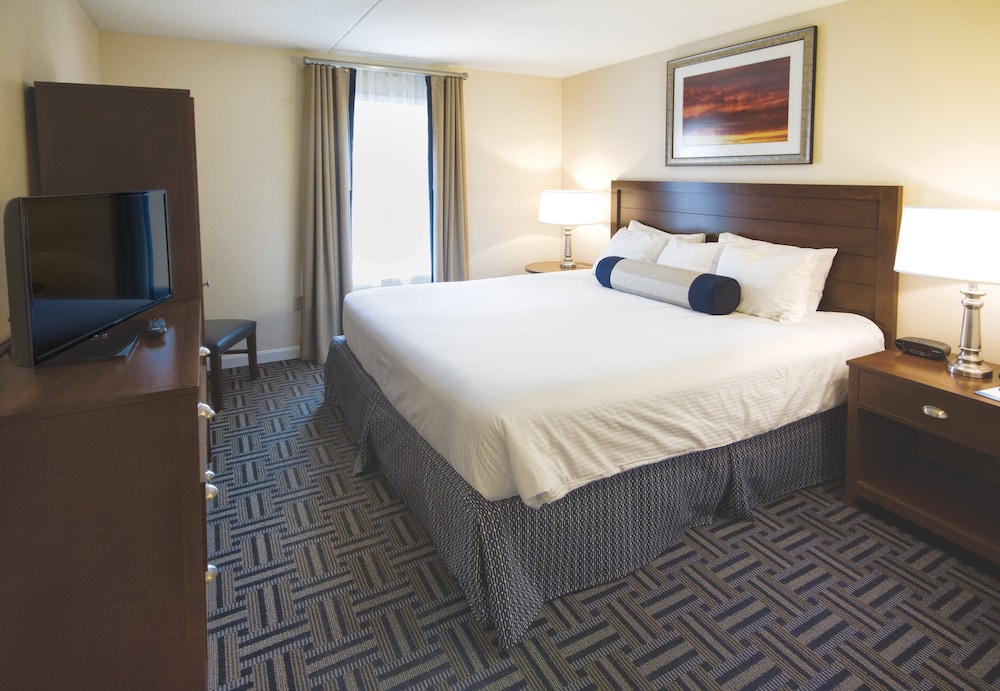 1 BEDROOM, SUITE