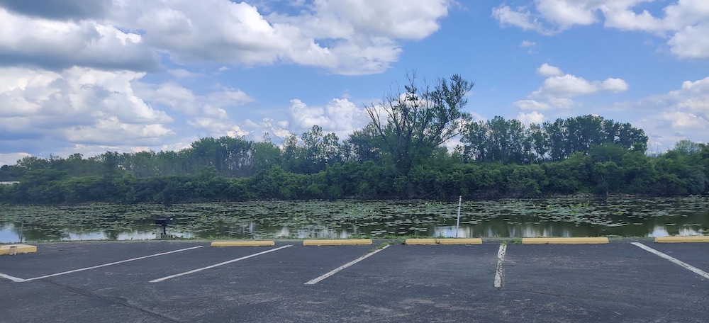 Cedar Cove (ex. Howard Johnson Inn Sandusky Park N. Entrance) 31/52