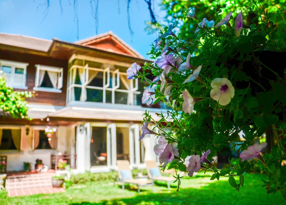 Banyan House Samui Bed and Breakfast - Adults Only 4/43