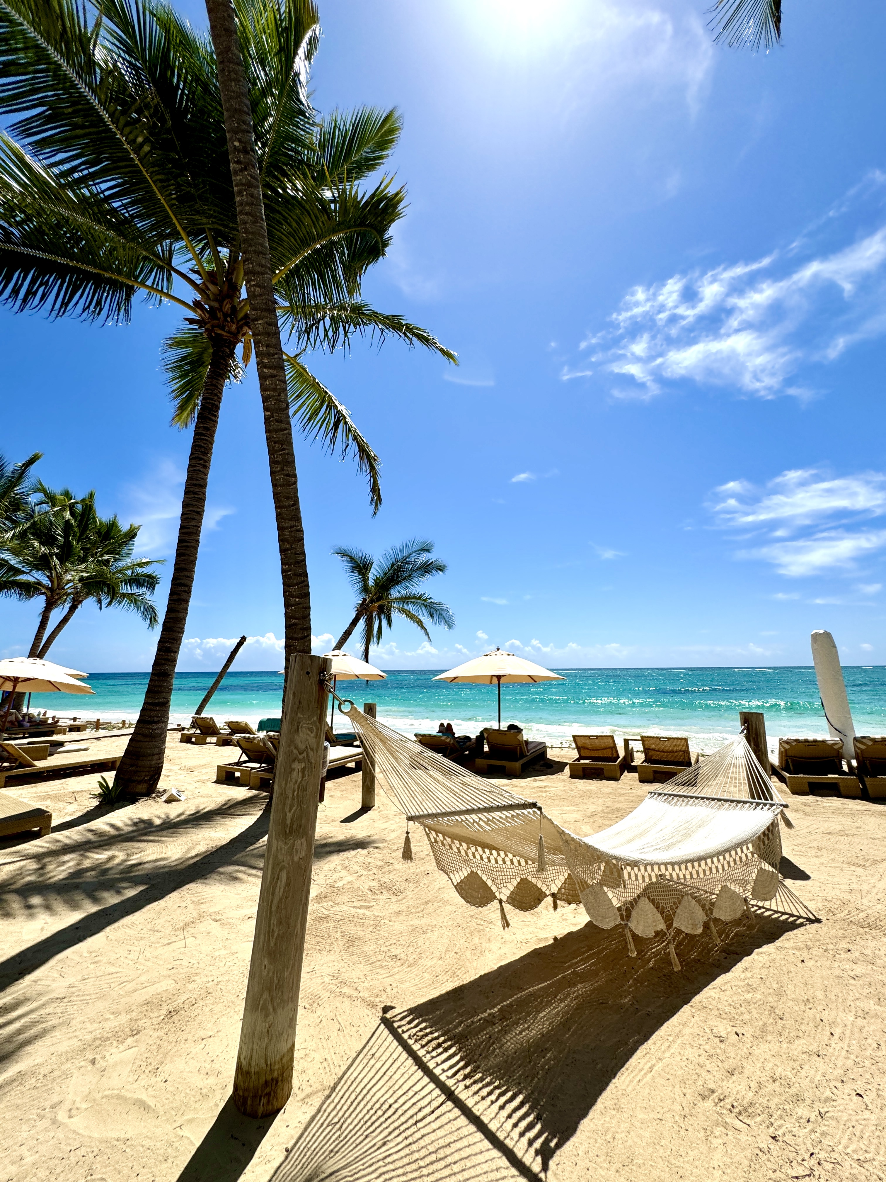 Vik Hotel Cayena Beach 32/41