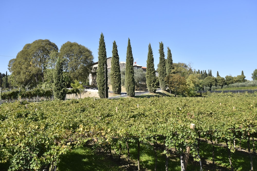Country House Le Palazzole 17/29