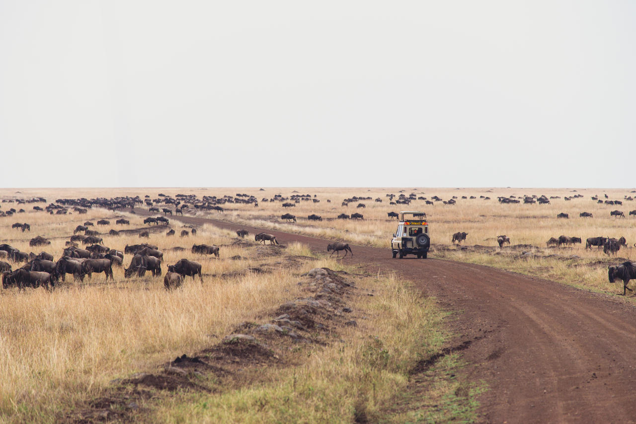 Mara Serena Safari Lodge 72/77