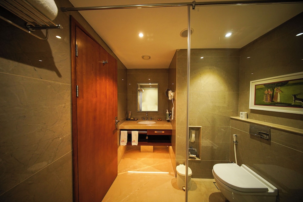 Pride Hotel Udaipur 45/45