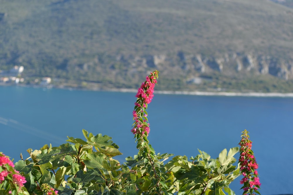 Akrolithi Boutique Hotel - Adults Only 43/58