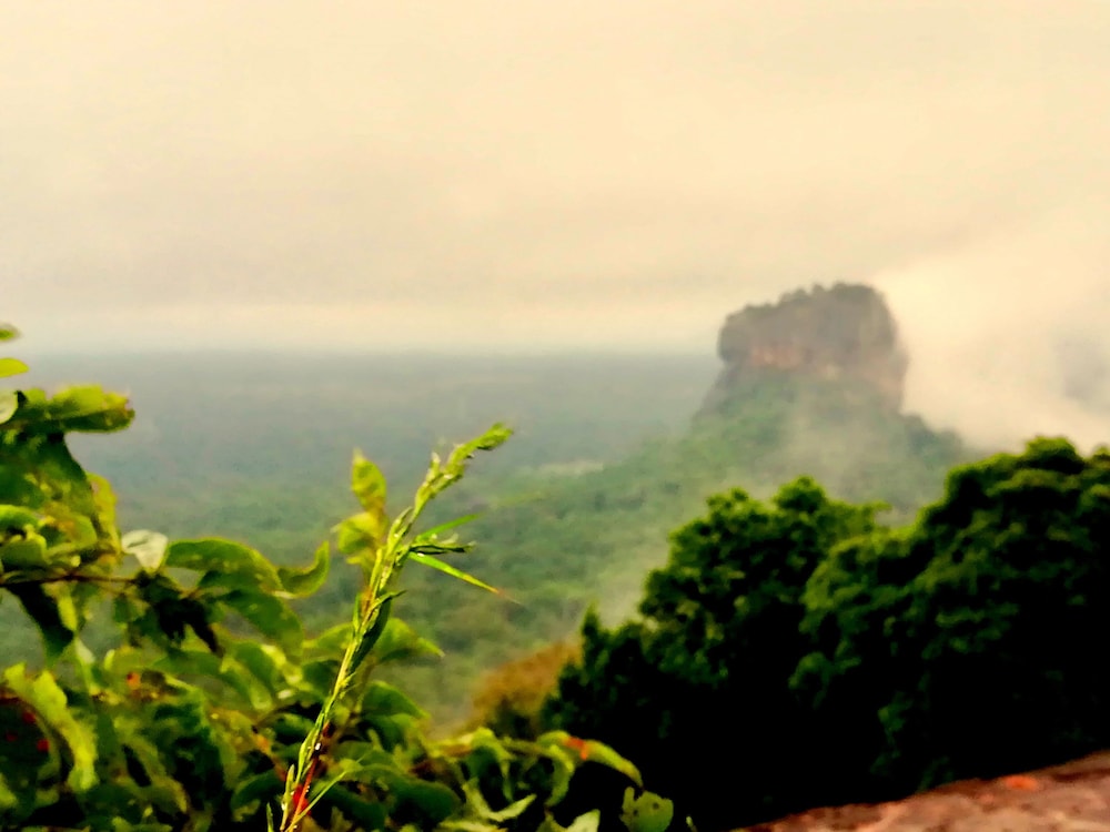 Sisira Natural Lodge 37/50