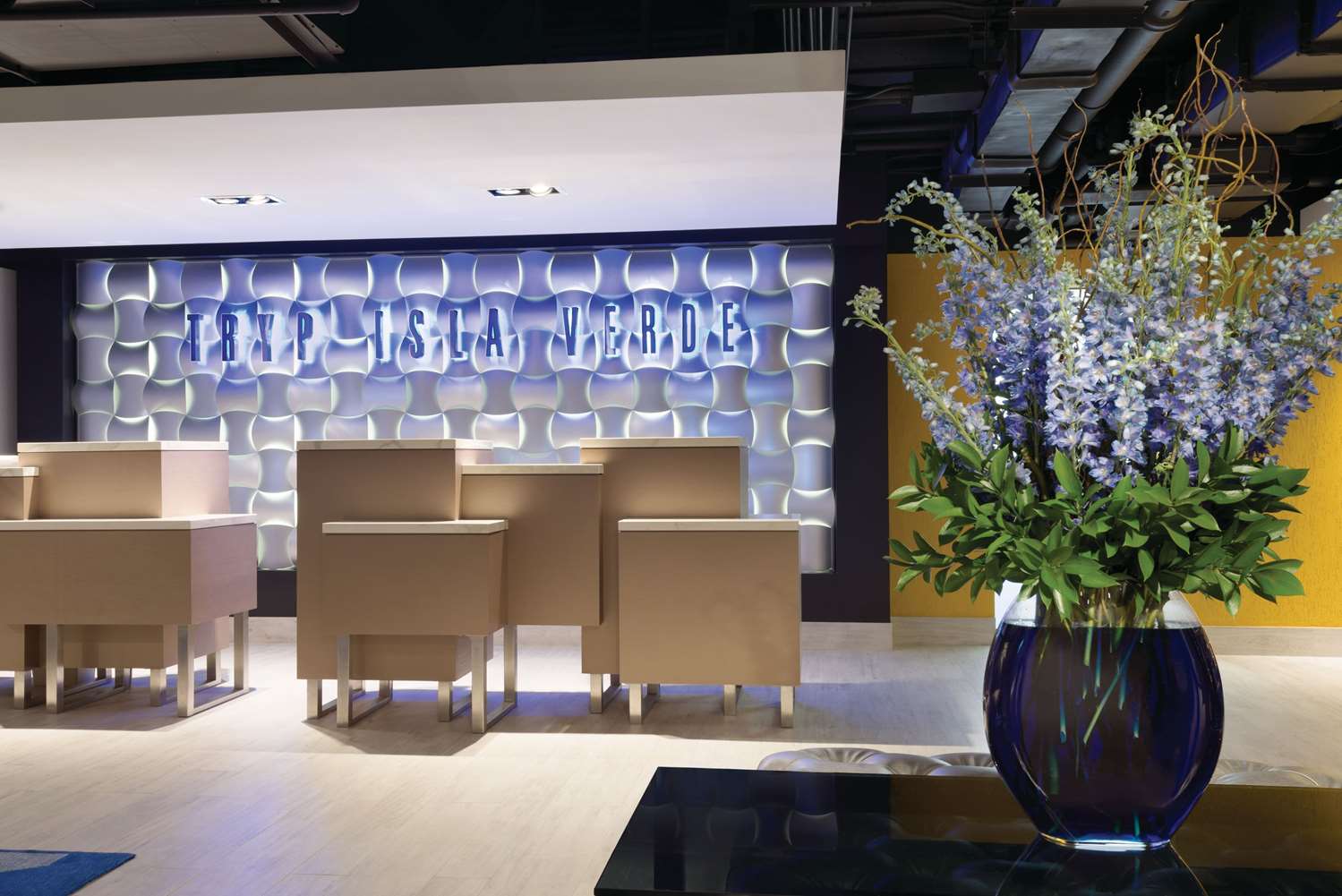 Tryp By Wyndham Isla Verde 11/61