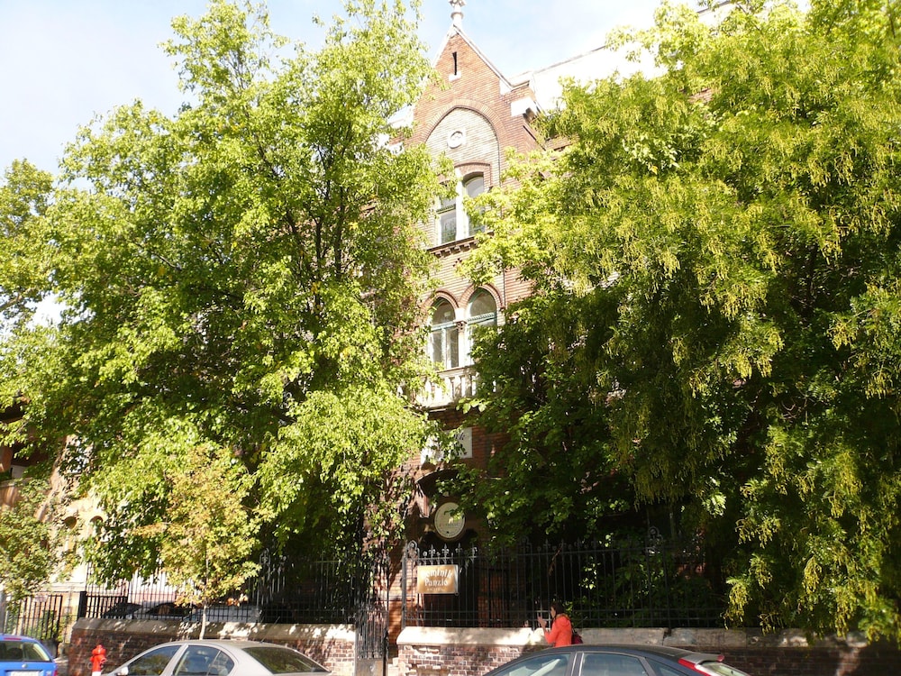 Dominik Panzio photo2